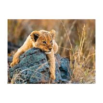 Puzzle XXL 200 pièces - Petit Lionceau pour enfants à partir de 8 ans
