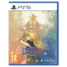 Take-Two Interactive Les Chroniques de la guerre de Lodoss : Deedlit au Labyrinthe des merveilles