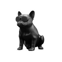 AeroBull XS1 - Enceinte sans fil Bluetooth - Noir mat