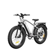Mountain bike elettrica Bodywel D6 con motore da 250 W e batteria da 48 V 15 Ah - Nuovo