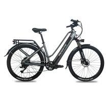 Bicicletta Elettrica HedaTX TX10 | Velocità Massima 40 km/h | Autonomia 45 km | Motore 350W | Batteria 48V 19.2Ah | Pnei da 27.5 PolliciT | Grigio - 