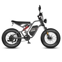 Bicicleta eléctrica FAFREES F20 Ultra (Homologación tipo UE L1e-B) - Motor 750W Batería 48V25AH Neumáticos 20 Pulgadas Frenos hidráulicos - Gris - 