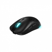 Souris Gaming sans Fil Newskill Arakne Elite RGB 16.000 DPI - FBA Professionnelle Ambidextre