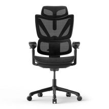 Chaise de Bureau Ergonomique de Jeu ACGAM CG-5245M avec Options Réglables Variées