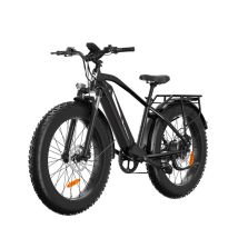 Mountain bike elettrica Bodywel D6 con motore da 250 W e batteria da 48 V 15 Ah - Nuovo