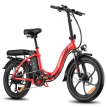 Bicicletta elettrica pieghevole FAFREES F20, motore da 250 W, batteria da 36 V 15 AH - Nuovo