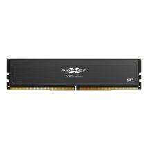 MEMORIA SP DDR5-5600,C40,OC-UDIMM,32GB (16GBx2) SR - Nuovo