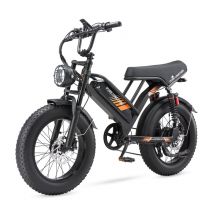 Vélo électrique Pure Unicorn U5, 1 000 W, pneus larges de 20 pouces, VTT pour adulte, batterie 48 V 19,2 Ah
