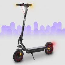 Scooter eléctrico - 100 PLUS - 10 - 36V - 350W - 30KM de autonomía - Freno de disco, intermitentes y luz de freno - Nuevo