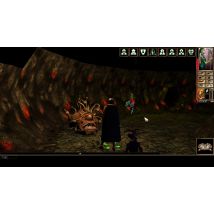 Skybound Games Neverwinter Nights : Enhanced Edition