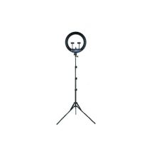 STARBLITZ SRING 21'' kit anneau lumineux 52cm - 72W