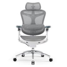 Silla de oficina ergonómica SIHOO Doro C300 Pro - Soporte lumbar autoajustable, Reposabrazos 5D, Respaldo de Malla - Blanco - Nuevo