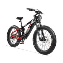 VéLo Électrique Glider | Moteur 250W | Batterie 52V 20Ah | Pneus 26 Pouces | Vitesse Max 25 km/h | Autonomie 90 km | Noir