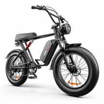 Bicicleta eléctrica todoterreno Emoko C91 de 20 pulgadas y 1000 W, velocidad máxima de 55 km/h, 48 V y 20 Ah - Nuevo