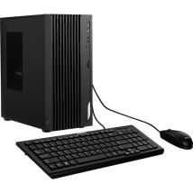 MSI Pro DP180 13TC-010EU Intel Core i7 i7-13700F 16 Go DDR4-SDRAM 512 Go SSD NVIDIA GeForce RTX 3060 Windows 11 Home Bureau PC Noir