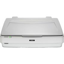 Epson Expression 13000XL Scanner à plat 2400 x 4800 DPI A3 Blanc