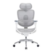 SIHOO Doro C300 Pro V2 Sedia da ufficio ergonomica senza poggiapiedi, supporto adattivo per tutto il corpo (bianco) - Nuovo