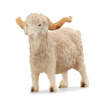Bouc Angora : Un Animal Charmant et Tempétueux à Découvrir