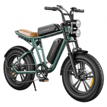 Vélo électrique tout-terrain à gros pneus ENGWE M20 20 pouces Moteur 750 W Batterie double 48 V 26 Ah-Vert