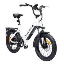 Bicicletta elettrica Bodywel F20 250W 48V 13,5Ah, Shimano 7 velocità, schermo LED da 4,5 pollici - Nuovo