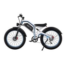 VéLo Électrique N26 | Vitesse Max 55 km/h | Autonomie 50 km | Moteur 750W*2 | Batterie 48V 20Ah | Pneus 26 Pouces | Blanc