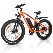 Bicicleta de Montaña Eléctrica VARUN M26-2 Pro de 26 pulgadas, 250 W, 48 V, 13 Ah - Nuevo