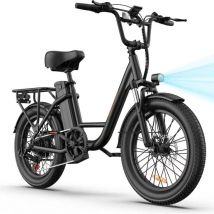 Bicicleta Eléctrica URLIFE E20 - Motor 250W Batería 48V 13Ah Neumáticos de 20 Frenos de Disco - Negro - Nuevo