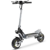 IE-S1 Trottinette Électrique - 800W 48V15Ah Pliable Frein à Disque - Gris