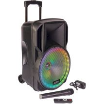 PARTY Light & Sound PARTY-12RGB haut-parleur portable et de fête Noir 700 W