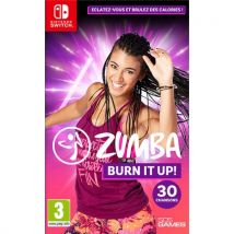 505 Games Zumba Burn It Up