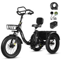 ESKUTE T302 Pro Vélo électrique 250W Moteur 48V 20.8Ah Batterie 20'' accessoires - Noir