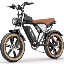 Vélo de montagne électrique Ridstar Q20 LUXE 1000W 48V 20Ah Batterie 20'' Fat Tire pour adulte