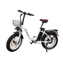 Bici elettrica pieghevole DRVETION CT20 con motore da 250 W e batteria da 48 V 10 Ah - Nuovo