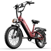 Bici elettrica Tifgalop XC20 per adulti, motore 70NM 250W, batteria 48V 20AH - Nuovo