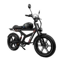 Vélo tout-terrain électrique DUOTTS F20 20 pouces, batterie 52 V 27 Ah