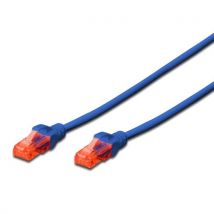 Ewent IM1001 cable de red Azul 0,5 m Cat6 U/UTP (UTP) - Nuevo