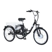 Triciclo eléctrico de ciudad Gogobest, bicicleta eléctrica de carga, batería de 36 V, 20 Ah, motor de 350 W, 24 pulgadas, kilometraje máximo de 70 km,