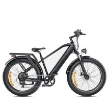 ENGWE E26 Bicicleta Eléctrica - 250W 768WH Autonomía 140KM Frenos de Disco - Gris - Nuevo