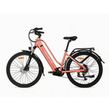 Bicicletta Elettrica TX10 | Motore 350W | Batteria 48V 19.2Ah | Pnei da 27.5 PolliciT | Velocità Massima 40 km/h | Autonomia 45 km - Nuovo
