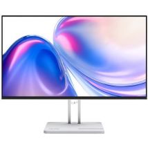 Ecran PC Lenovo L24-45 23,8 Full HD Gris nuage