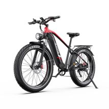Bicicleta Eléctrico F26 Lite | Velocidad Máx 25 km/h | Autonomía 50 km | Motor 250W | Batería 48V 20Ah | Neumáticos de 26 Pulgadas | Negro - Nuevo