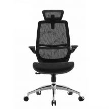 Sedia da ufficio ergonomica SIHOO M59AS - Braccioli regolabili 3D - Doppio schienale con supporto lombare - Rete di alta qualità - Certificata BIFMA/