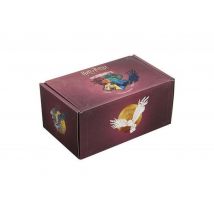 Coffret Wootbox Harry Potter Poudlard 2021