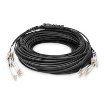 Digitus Câble breakout fibre optique universel préassemblé, multimode OM4, 8 fibres, LC/UPC – LC/UPC