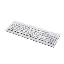 Fujitsu KB521 teclado Oficina USB Gris - Nuevo