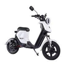 Patinete eléctrico BEZIOR XIAONIU B con batería de 48 V y 20 Ah y mando a distancia - Nuevo