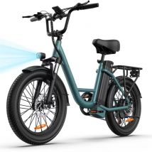 Bicicleta Eléctrica URLIFE E20 - Motor 250W Batería 48V 13Ah Neumáticos de 20 Frenos de Disco - Verde - Nuevo