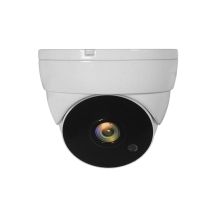 LevelOne ACS-5302 cámara de vigilancia Almohadilla Cámara de seguridad CCTV Interior y exterior Techo - Nuevo