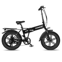 Bicicletta Elettrica R200 | Velocità Massima 25 km/h | Autonomia 80 km | Motore 750W | Batteria 48V 15Ah | Pnei da 20 PolliciT | Nero - Nuovo