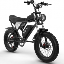 Vélo électrique pour adulte Ridstar Q20 1000 W 48 V 20 Ah Max 50 km/h Moto électrique 20 pouces Gros pneus Dirt Bike Shimano 7 vitesses